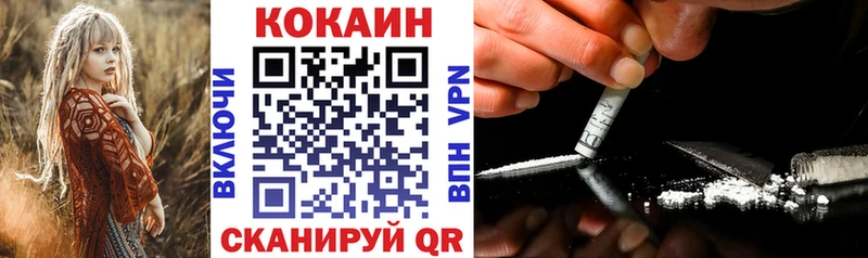 Купить  Зима  COCAIN Fish Scale 