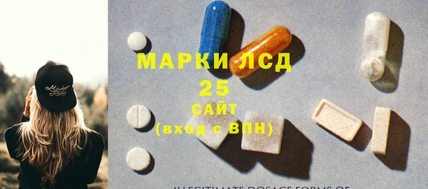 гашик Зерноград
