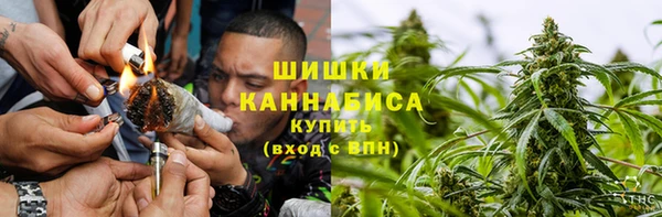 гашик Зерноград