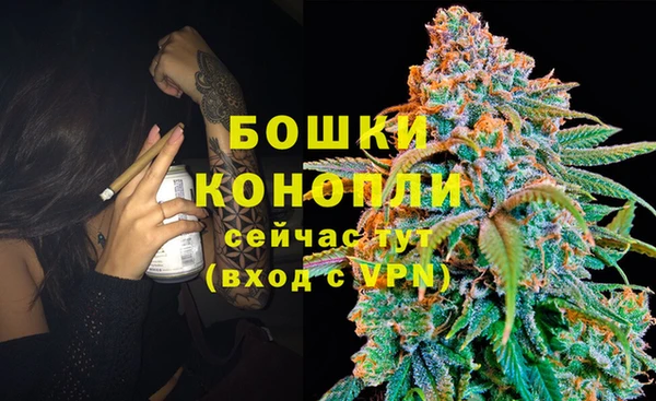 гашик Зерноград