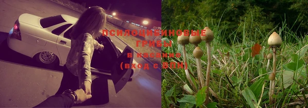 гашик Зерноград