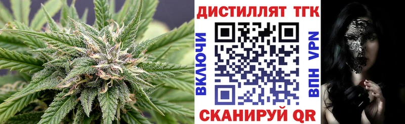 Купить закладки Зима ТГК концентрат