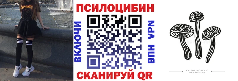 Купить закладки  Зима  Псилоцибиновые грибы ЛСД 